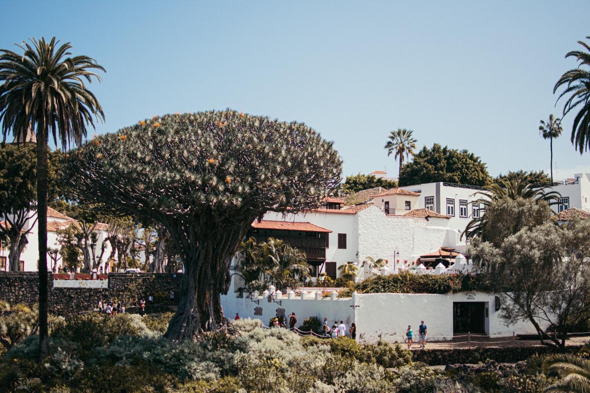 Las Casitas Del Bebedero - Yoga & Ecoturismo 이코드레로스비노스 외부 사진